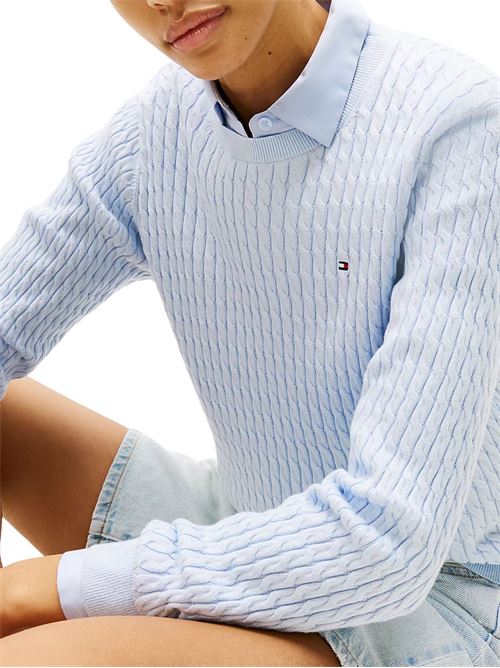 Maglia azzurra in cotone Tommy Hilfiger | WW0WW44993C1O
